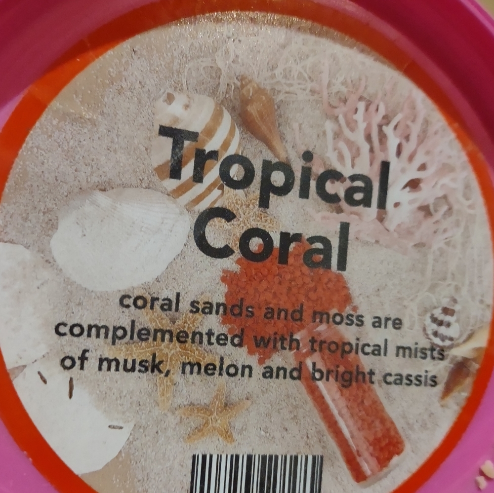 16 oz Carton Tropical Coral